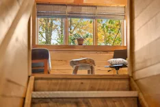 Cozy wooden interior with a view of autumn trees through a window, featuring a plant on the windowsill and a comfy chair next to a rustic wooden desk.