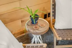 Potted plant on a wooden side table next to a bed with white pillows, decorative wood-slice coasters on the table, and a fuzzy gray rug on the floor.
