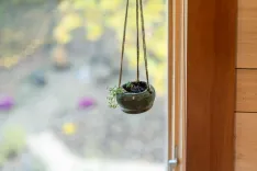 Hanging ceramic planter with a few small plants near a window with a blurred garden view in the background.