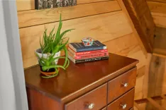 A wooden dresser with a stack of books and a potted plant on top, set against a wood-paneled wall.