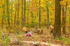A peaceful autumnal scene in a forest with wooden chairs, a table, colorful fall foliage, and a dog sitting at the table.