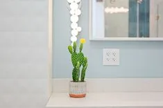 A decorative potted cactus with a yellow flower on a bathroom countertop, with a lighted vanity mirror and a reflection of a shower door in the background.