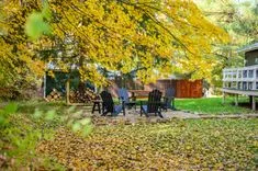 Backyard with a set of black chairs around a table, a pile of firewood, and fallen yellow leaves on the ground with autumn trees.