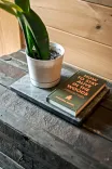 A potted plant next to a book titled "How to Stay Alive in the Woods" on a wooden table with rustic texture.
