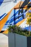 Vibrant abstract mural in blue and orange on an urban building, with foliage in the foreground.