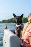 Dog sitting next to a woman on a boat with a lake in the background.