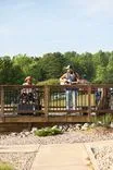 People enjoying a sunny day on a wooden playground bridge surrounded by lush greenery.