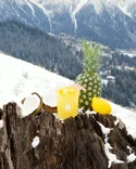 Tropical pineapple and coconut with a glass of pineapple juice on a snowy mountain background.