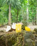 A refreshing tropical drink with an umbrella, halved coconuts, a whole pineapple, and a lemon set against a lush jungle background.