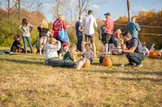 People participating in a pumpkin carving activity outdoors on a sunny day.