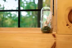 Alt: A terrarium with dried flowers inside a glass display container, placed on a wooden ledge by a window looking out to a green tree canopy.